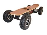 Electric Skateboard Dirt Rider