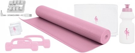 Wii Fit Workout Kit