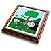 Rich Diesslin The Cartoon Old Testament - Job 28 20 Looking for Wisdom in All the Wrong Places Bible wisdom golf course mailbox ball - Trivets