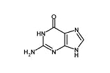 Guanine - Dna - Rna - 36