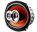 PULSE PSUB317 Double Magnet 30 cm 1000W Subwoofer
