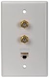 Dual SGL Cat5/6 Plate