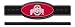 Ohio State Pool Cue Rack