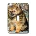 Dogs Pomeranian - Roxy, Pomeranian Puppy - Light Switch Covers - single toggle switch