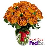 Roses - Gold Crush