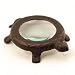 Turtle Magnifier