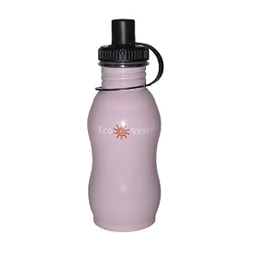 Eco Vessel Stainless Steel Water Bottle with Sport Cap (17 Ounces) Eco Vessel Stainless Steel Water Bottle with Sport Cap (17 Ounces)