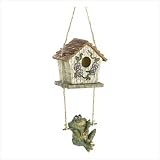 SWINGING FROG BIRDHOUSE B38-814