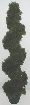 3' INDOOR/OUTDOOR Italian Style Spiral Cypress