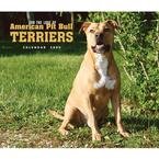 For the Love of American Pit Bull Terriers 2009 Deluxe Wall Calendar