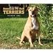 For the Love of American Pit Bull Terriers 2009 Deluxe Wall Calendar