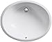 KOHLER K-2211-0 Caxton Undercounter Bathroom Sink, White One Size