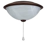 Light Kit Contemporary Bowl bulbs included