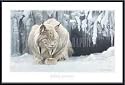 Art Poster Metal Framed Print - Dozing Lynx (detail) - Artist: Robert Bateman- Poster Size: 24 X 36