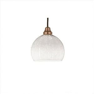 Park Slope Line Voltage Track Mount Pendant Kit in Brushed Nickel Track Type: Juno Series