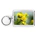 Late Flowering Plants - Acrylic Keyring - Art247 - Standard Size