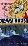The Patience of the Spider
