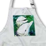 Dolphins - Bottlenose Dolphin - Aprons
