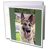 Dogs German Shepherd - German Shepherd Portrait - Greeting Cards-12 Greeting Cards with envelopes