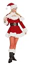 Sexy Miss Santa Adult Costume