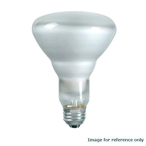 Philips 248765 - 65BR30/FL55 Light Bulb