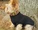 Foliage Dog Sweater by Risotto Collection (Small)