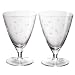 NARUMI GLASSWORKS�i�O���X���[�N�X�j �y�X�^�[�z�y�A�t���[�O���X230cc GW4025-81230A �J���N���X�^��