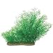NATURAL ELEMENTS JAVA MOSS, Color: GREEN; Size: 10-16 INCH (Catalog Category: Aquatics:DECORATIONS)