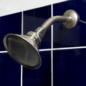 Watering Can Showerhead 4-7/8
