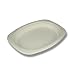 Stalkmarket 100% Compostable Sugar Cane Fiber Oval Platter, 9-Inch, 500-Count Case