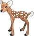 Spotted Fawn