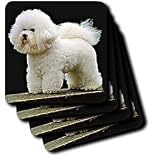 Dogs Briard - Briard - Coasters