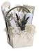 Renewal Spa Gift Basket