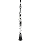 Buffet Crampon R13 Green Line Professional Bb Clarinet with Nickel Plated Keys (Standard)