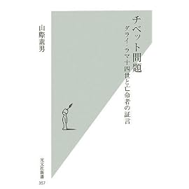 チベット問題 (光文社新書)