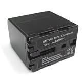 Bargaincell- Brand New Premium Lithium Ion Replacement Battery For Sony InfoLithium NP-FM90, NP-QM91- 3900mAh