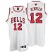 Search : Chicago Bulls Kirk Hinrich Swingman Jersey