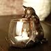 Peeking Cat with Votive