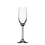 Spiegelau Festival Champagne Flute, Set of 2