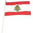 Lebanon Flag 12 x 18 inch