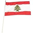 Lebanon Flag 12 x 18 inch
