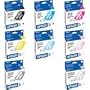 Epson 8 Color Ink Set with Photo Black for the Stylus R2400 Inkjet Printer.