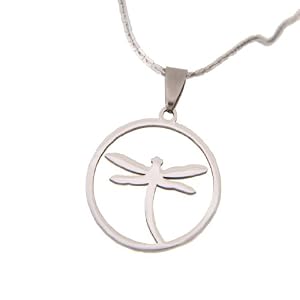 Amazon.com: Dragonfly Jewelry Unique Shiny Stainless Steel Chain Necklace Pendant for Women 20