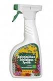 norax Spinnmilben Schildlaus Schutz Sprüh 500ml