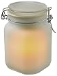 Mark Feldstein & Associates SJ90 6-Inch Solar Sun Jar