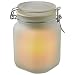 Mark Feldstein & Associates SJ90 6-Inch Solar Sun Jar
