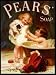Pears Soap - Puppy Bath Time - Large Metal Wall Sign