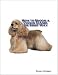 cocker_spaniel37cocker spaniel - How to Groom A Cocker Spaniel The Right