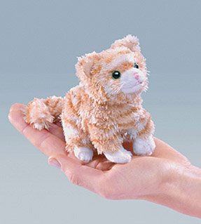 Childrens Toyshop  Toys : Folkmanis Mini Tabby Cat finger PUppet