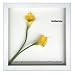 �s�t�����[�t���[���tF-style Frame Anthurium /yellow�i�A���X���E��/�C�G���[�j